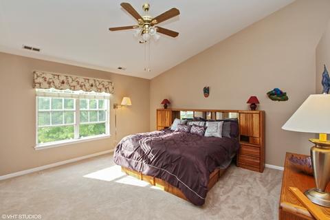 4 Walbridge Ct, Algonquin, IL 60102 photo 10
