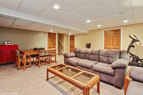 4 Walbridge Ct, Algonquin, IL 60102 photo 17