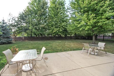 4 Walbridge Ct, Algonquin, IL 60102 photo 18
