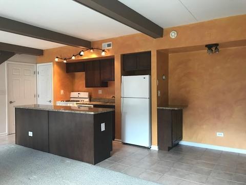 108 Kenneth Cir, Elgin, IL 60120 photo 5