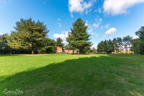 418 Longview Dr, Algonquin, IL 60102 photo 11