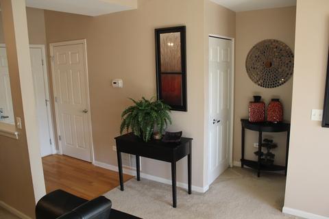715 Astor Ln #305, Wheeling, IL 60090 photo 9