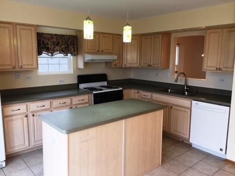 1441 Fox Hound Trl, Beecher, IL 60401 photo 6