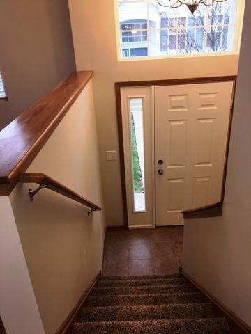 1441 Fox Hound Trl, Beecher, IL 60401 photo 20
