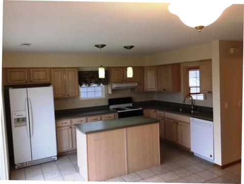 1441 Fox Hound Trl, Beecher, IL 60401 photo 5