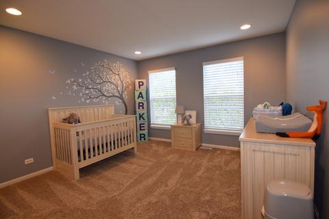 14 Rock River Ct, Algonquin, IL 60102 photo 27