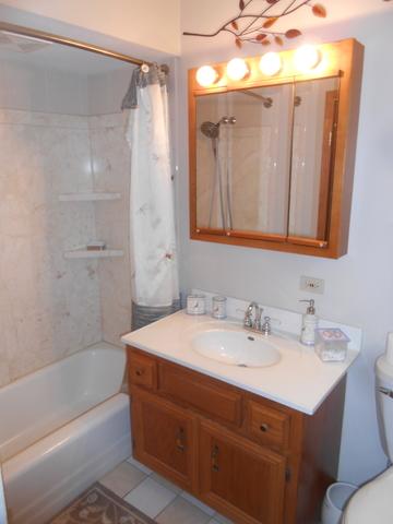 1690 Pine Bluff Rd, Morris, IL 60450 photo 20