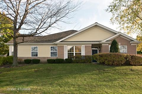 20935 W Spruce Ln, Plainfield, IL 60544 photo 1