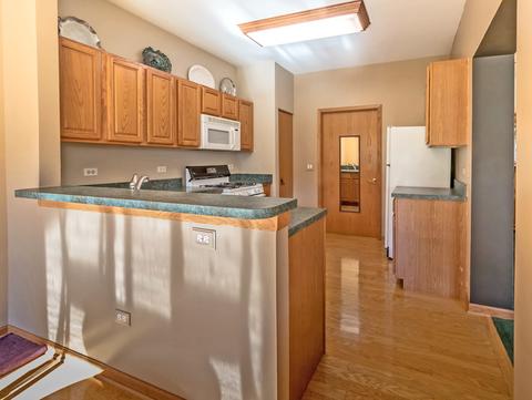 21139 W Cypress Ct, Plainfield, IL 60544 photo 16
