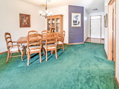 21139 W Cypress Ct, Plainfield, IL 60544 photo 8
