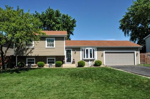 393 E Chippendale Dr, Bartlett, IL 60103 photo 2