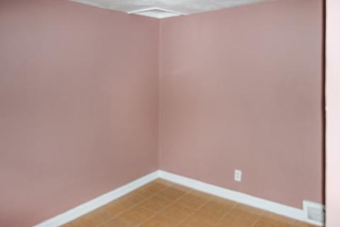 202 Adams St, Ridott, IL 61067 photo 9