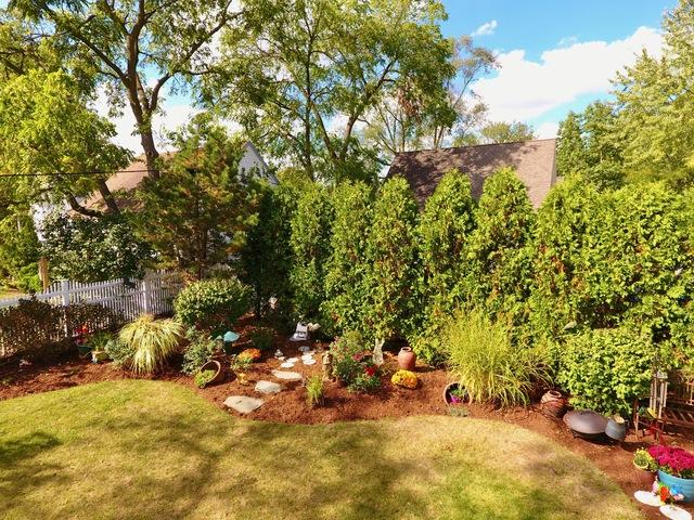  319 Douglas Ave, Crystal Lake, IL 60014 photo 10