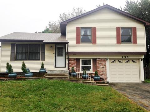 233 Plainview Dr, Bolingbrook, IL 60440 photo 2