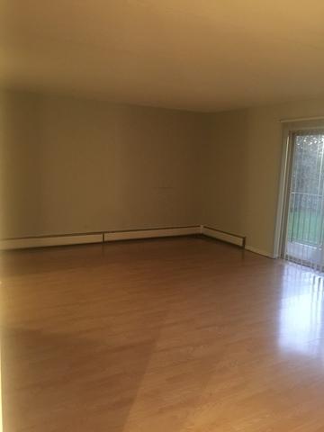 588 Fairway View Dr #1-2F, Wheeling, IL 60090 photo 4