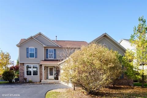 3910 Georgetown Cir, Algonquin, IL 60102 photo 1