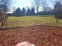 480 W Center St, Sheldon, IL 60966 photo 30