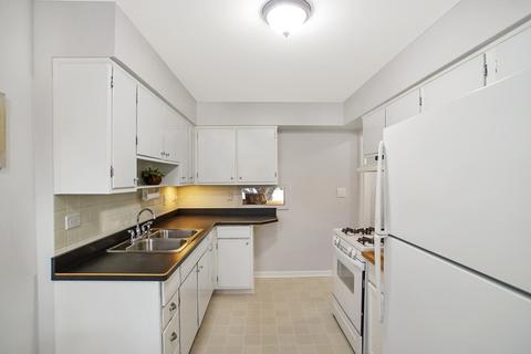 105 N Pine St, Mount Prospect, IL 60056 photo 6