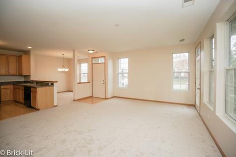 5110 Freeport Dr, Plainfield, IL 60586 photo 7