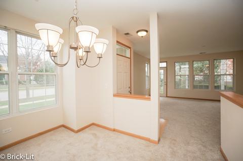5110 Freeport Dr, Plainfield, IL 60586 photo 9