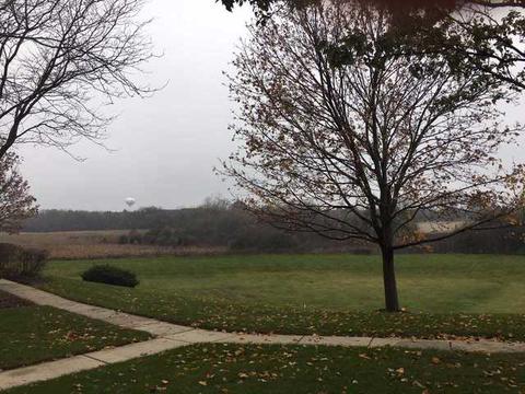 2254 Dawson Ln, Algonquin, IL 60102 photo 16