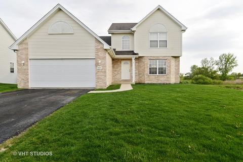 4657 W Iris Ln, Monee, IL 60449 photo 1