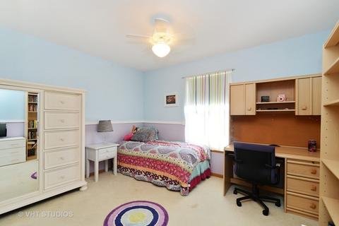 4657 W Iris Ln, Monee, IL 60449 photo 14