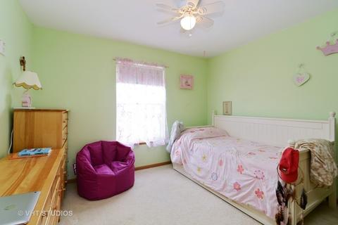 4657 W Iris Ln, Monee, IL 60449 photo 13