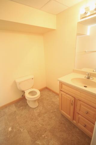 1751 Ellington Dr, Aurora, IL 60503 photo 25
