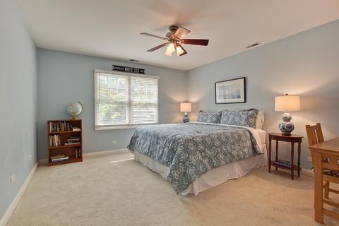 206 E Washington Ave, Lake Bluff, IL 60044 photo 20