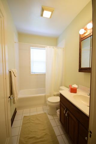 1036 Hill Ave, Elgin, IL 60120 photo 13