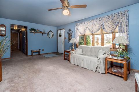 6611 Irma Harvey Ln, Plainfield, IL 60586 photo 3