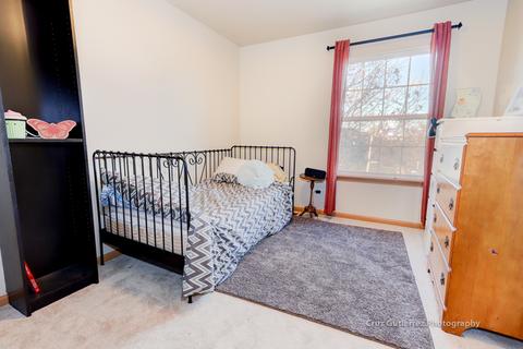 6312 Stafford St, Plainfield, IL 60586 photo 19