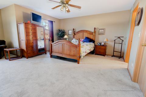 6312 Stafford St, Plainfield, IL 60586 photo 14