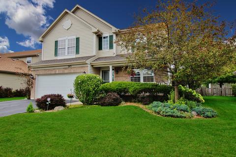 243 Switchgrass Dr, Round Lake, IL 60073 photo 1
