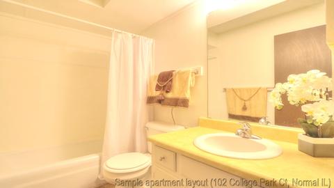 102 College Park Ct, Normal, IL 61761 photo 13