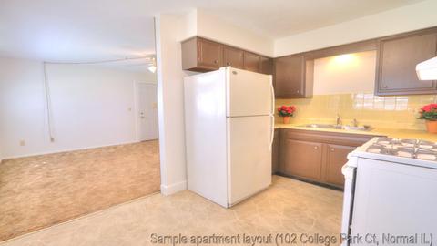102 College Park Ct, Normal, IL 61761 photo 10