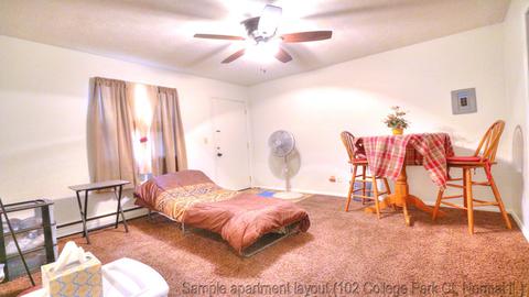 102 College Park Ct, Normal, IL 61761 photo 9