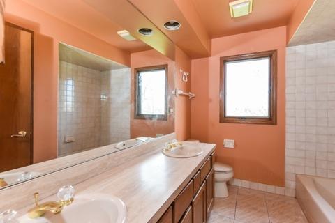 3259 Platte Trl, Olympia Fields, IL 60461 photo 19