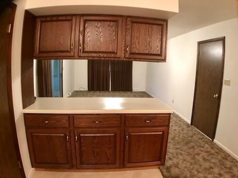 929 Pinecrest Dr, Rantoul, IL 61866 photo 10