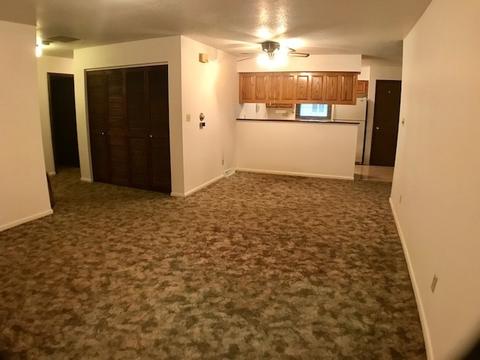929 Pinecrest Dr, Rantoul, IL 61866 photo 4