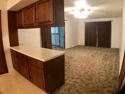 929 Pinecrest Dr, Rantoul, IL 61866 photo 8