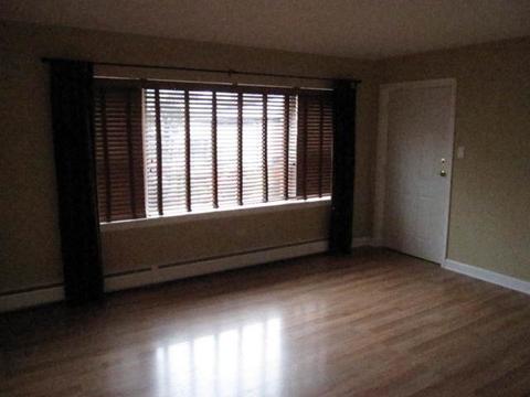 7716 Ogden Ave #1M, Lyons, IL 60534 photo 3