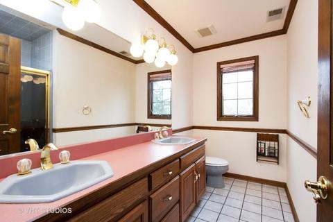 20224 Oregon Trl, Olympia Fields, IL 60461 photo 9