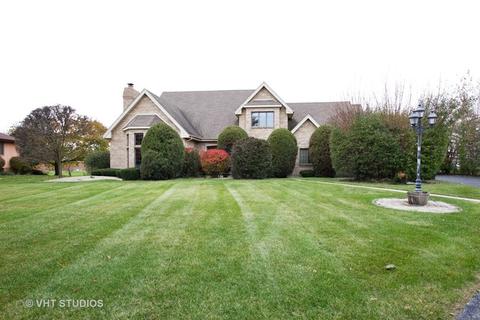 20224 Oregon Trl, Olympia Fields, IL 60461 photo 1