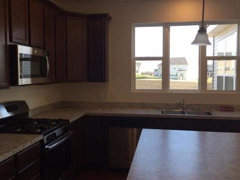 1326 Turfway Ln, Bartlett, IL 60103 photo 11