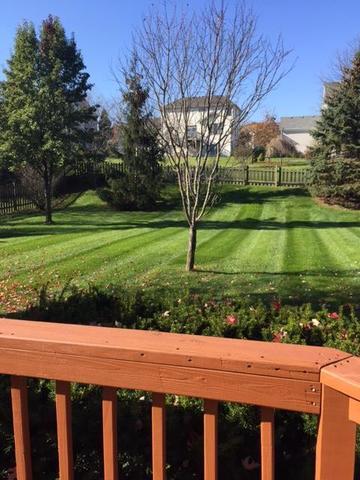 1244 Hunters Rdg E, Hoffman Estates, IL 60192 photo 16