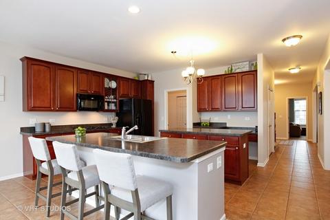 25213 Gettysburg Rd, Plainfield, IL 60544 photo 7