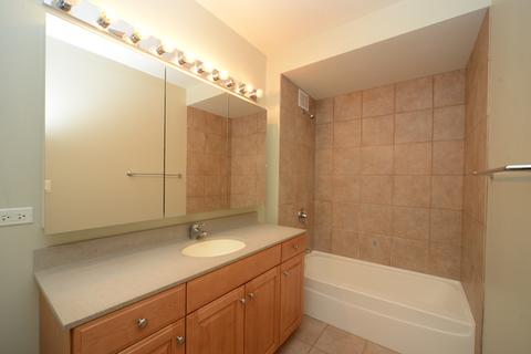 420 E Waterside Dr #308, Chicago, IL 60601 photo 13