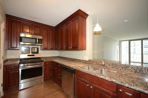 420 E Waterside Dr #308, Chicago, IL 60601 photo 4